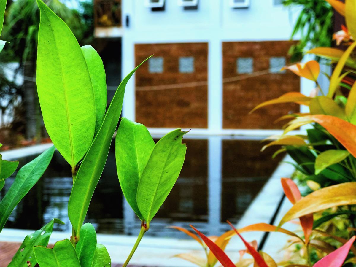 Hok Tevy Residence سيام ريب المظهر الخارجي الصورة